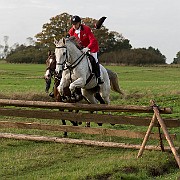 hest 3
